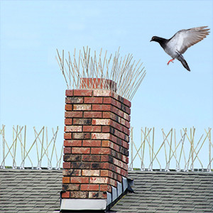 China Easy to Install Bird Spikes The Ideal Solution for Pest Control supplier
